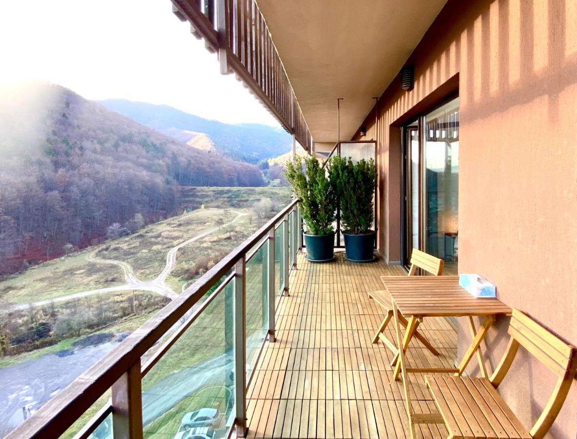 Cosy Hollow - Pet Friendly Брашов Екстер'єр фото