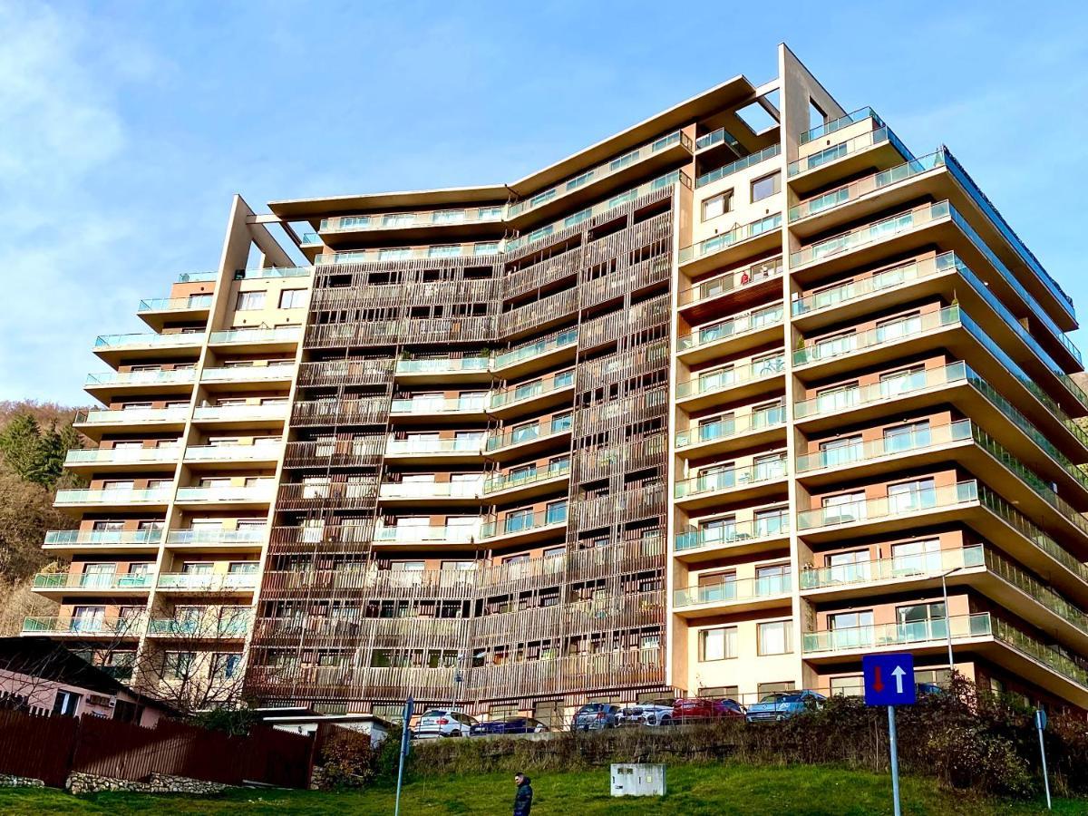 Cosy Hollow - Pet Friendly Брашов Екстер'єр фото